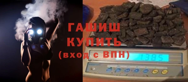 прущие грибы Заводоуковск