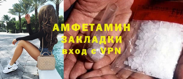 прущие грибы Заводоуковск