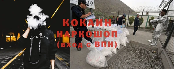 прущие грибы Заводоуковск