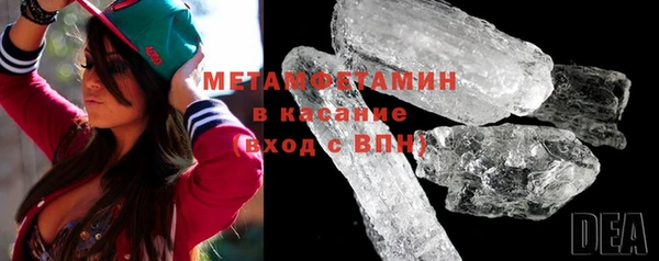 прущие грибы Заводоуковск